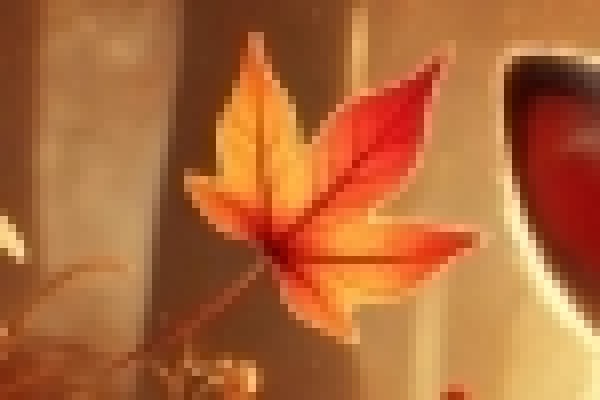 Before Enlarge Amage